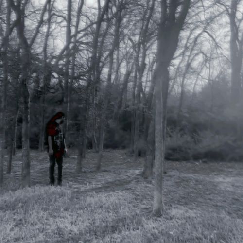 Wilderness Seaker cover art