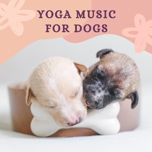 Yoga Relax cover art