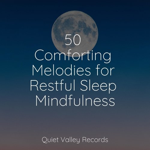 50 Comforting Melodies for Restful Sleep Mindfulness