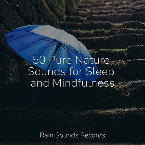 50 Pure Nature Sounds for Sleep and Mindfulness