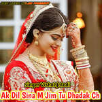 Ak Dil Sina M Jim Tu Dhadak Ch