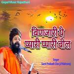 Binjari Ye Pyari Pyari Bol