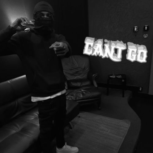 Can’t GO cover art