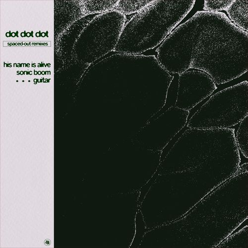 Tina with Tails and Petals (His Name Is Alive Remix) cover art