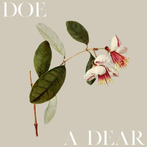 Doe a Dear