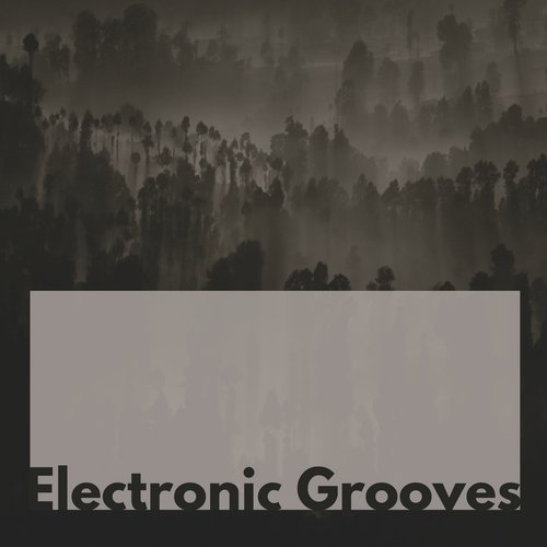 Electronic Grooves