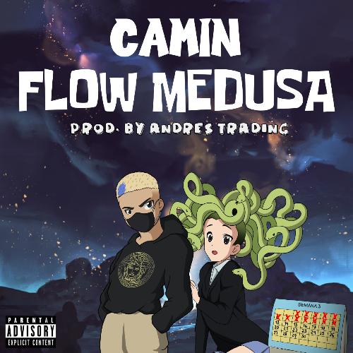 Flow Medusa_poster_image