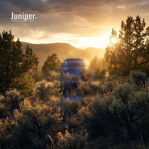 Juniper