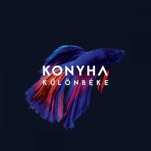 Charter song by konyha from különbéke, download mp3 or play online now Online konyha