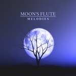 Soothing Sleeping Flute Sounds