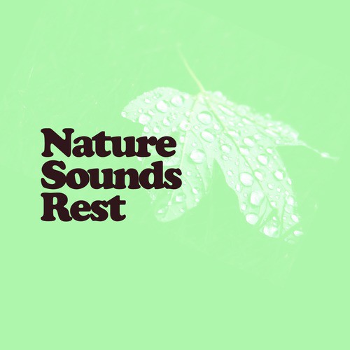 Nature Sounds Rest