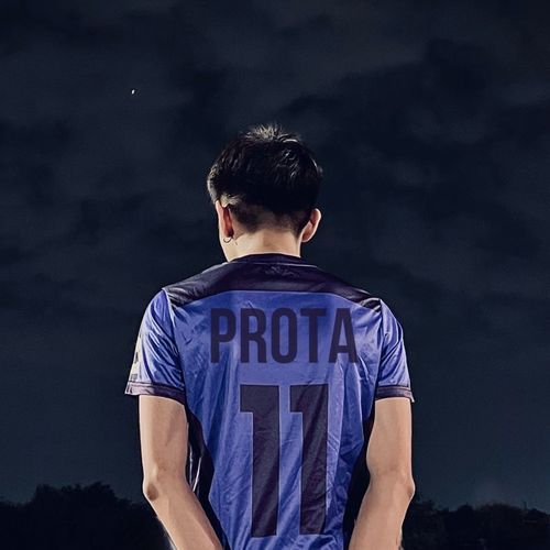 PROTA cover art