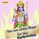 Ram Nam Sukhdai Bhajan Kari Bhai