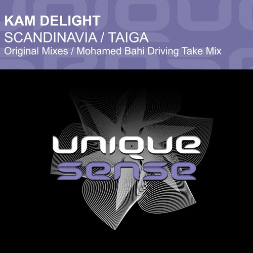 Scandinavia (Mohamed Bahi Driving Take Remix) cover art