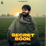 Secret book