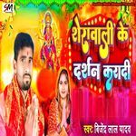 Sherawali Ke Darshan Karadi