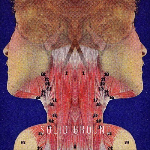 Solid Ground_poster_image