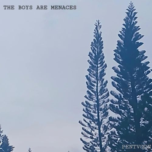 THE BOYS ARE MENACES