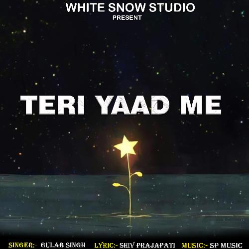 Teri Yaad Me-okv tunes