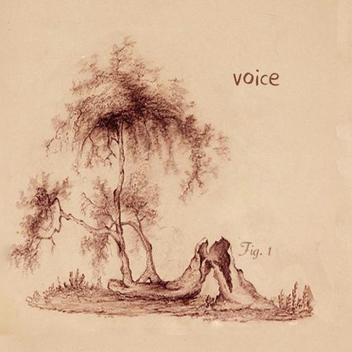 Voice