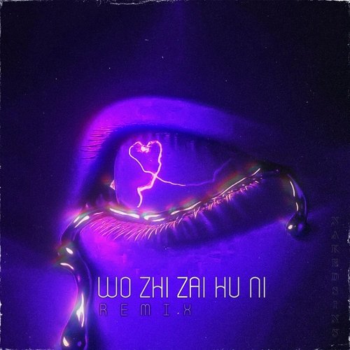 Wo Zhi Zai Hu Ni (Remix) cover art