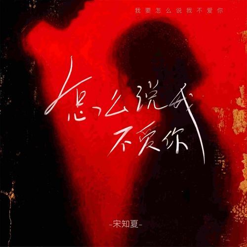 怎么说我不爱你 (女版dj)