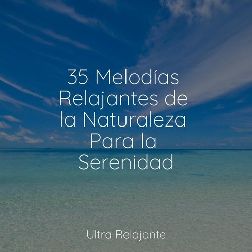 35 Melodías Relajantes de la Naturaleza Para la Serenidad