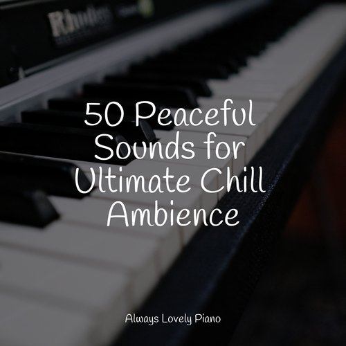 50 Peaceful Sounds for Ultimate Chill Ambience_poster_image