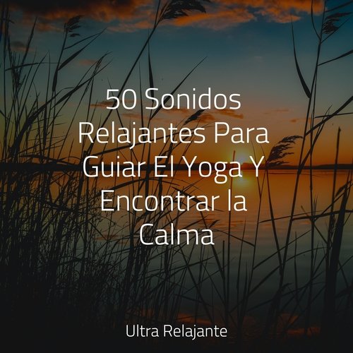 Relajación Radiante cover art