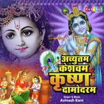 Achyutam Keshwam Krishna Damodaram(Remix) (Remix)