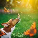 Puppy (Ambient Extended) artwork