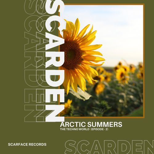 The Lights cover art