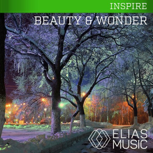 Beauty And Wonder_poster_image