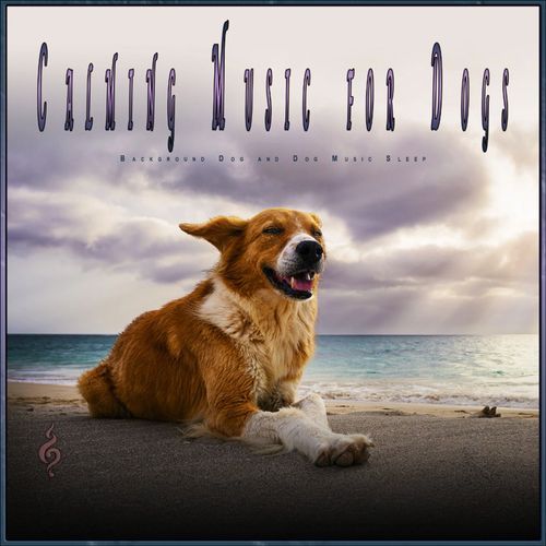 Relaxing Music For Dogs