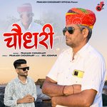 Choudhary artwork
