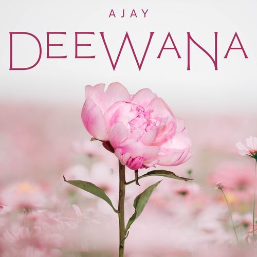 Deewana cover art