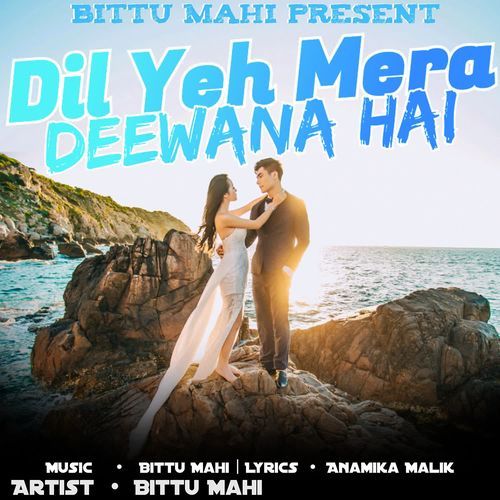 Dil Yeh Mera Deewana Hai