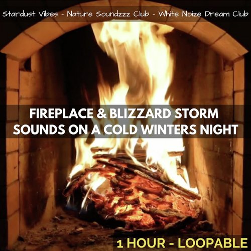 Fireplace & Blizzard Storm Sounds on a Cold Winters Night: One Hour (Loopable)_poster_image