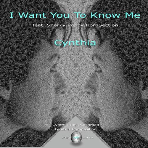I Want You to Know Me (feat. Snarky Puppy Hornsection) (Radio Edit) cover art