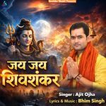 Jai Jai Shiv Shankar