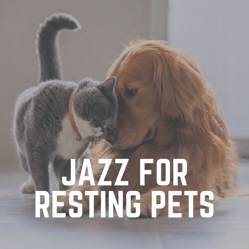 Jazz for Cats cover art
