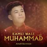 Kamli Wale Muhammad (S.A.W.W)