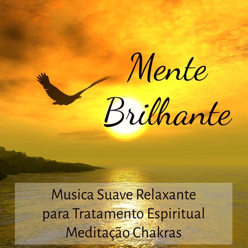 Meditação Maestro cover art