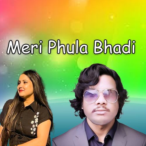 Meri Phula Bhadi cover art