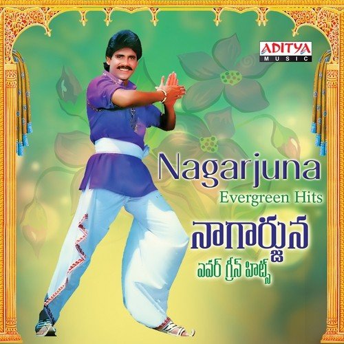 Nagarjuna Evergreen Hits