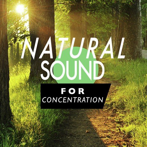 Natural Sound for Concentration