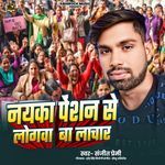 Nayaka Penshan Se Logawa Ba Lachar