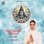 Om Namah Shivaya