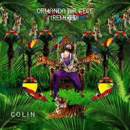 Japonya’da Bir Sahil Evim Var (Italo-Disco Remix) cover art