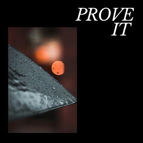 Prove It cover art